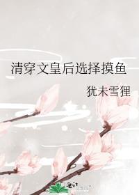 清穿皇后攻略