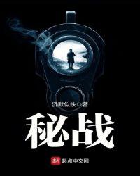 秘战免费阅读