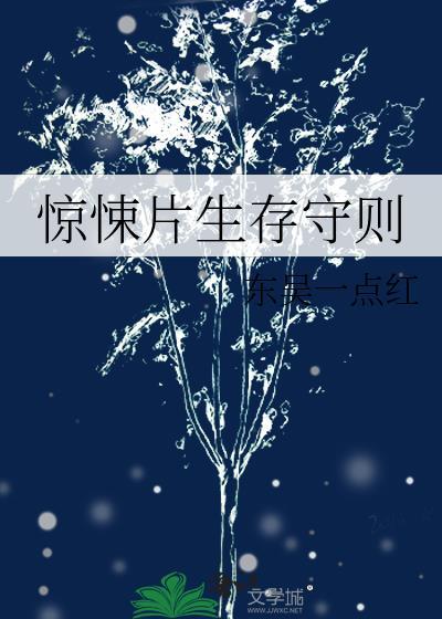 惊悚片生存守则242