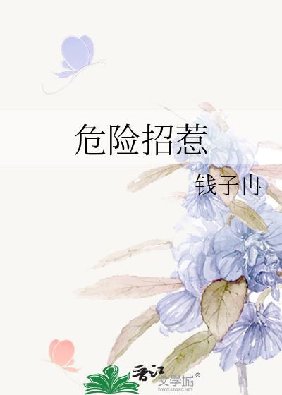 危险招惹类别言情作者 钱子冉