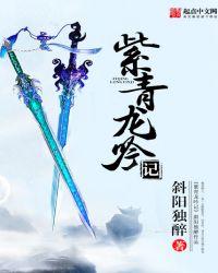 紫青龙吟记百度百科