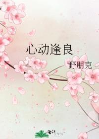 心动逢良作者野朋克