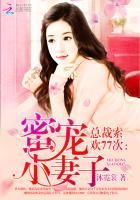 总裁索欢 爱妻别逃txt