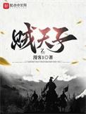 贼天子书评