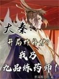 大秦开局炸丹炉我乃九品炼药师
