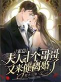 霍总你夫人又闹离婚了