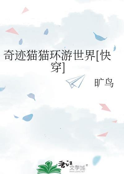 播放奇迹的猫
