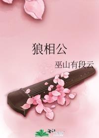 穿越小夫郎的狼相公by巫山有段云