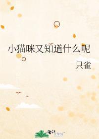 小猫咪懂什么