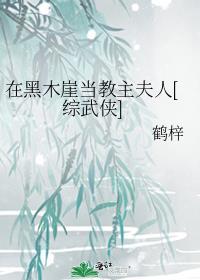 在黑木崖当教主夫人