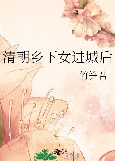 清朝乡下女进城后无防盗