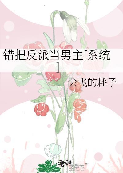 错把反派当男主txt书包网