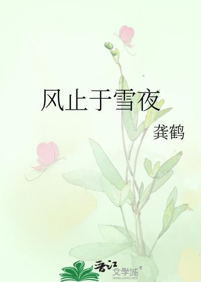风止于雪夜作者龚鹤