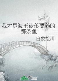 我是海王下一句是什么