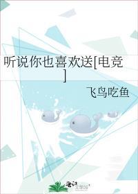 听说你也喜欢送电竞txt
