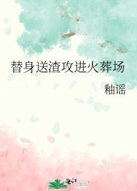 替身送渣攻进火葬场讲的