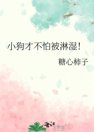 狗怕淋雨么