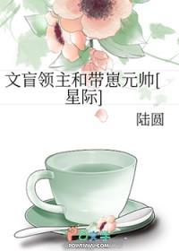 文盲什么意思?
