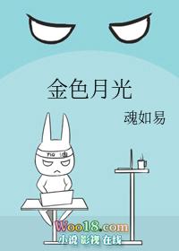 金色月光总部在哪里