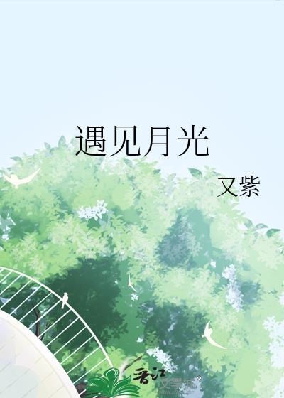 遇见月光by又紫笔趣阁