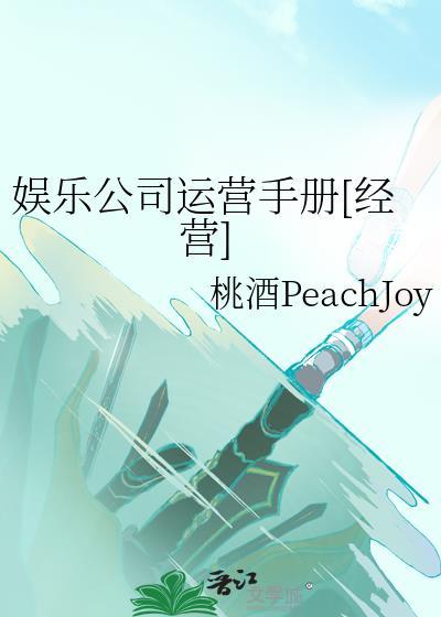 娱乐公司的运营模式