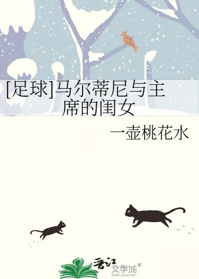 马尔蒂尼地位