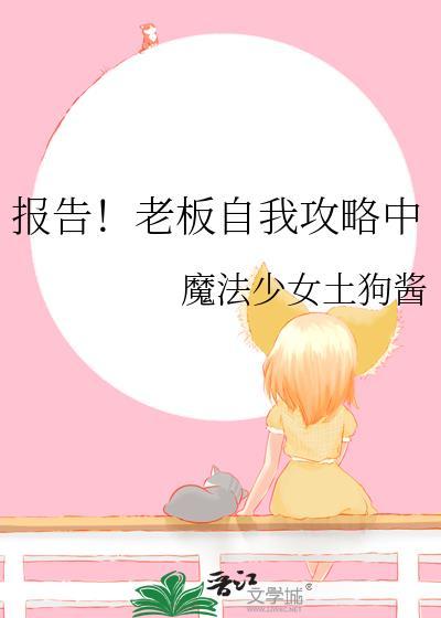 报告老板全集