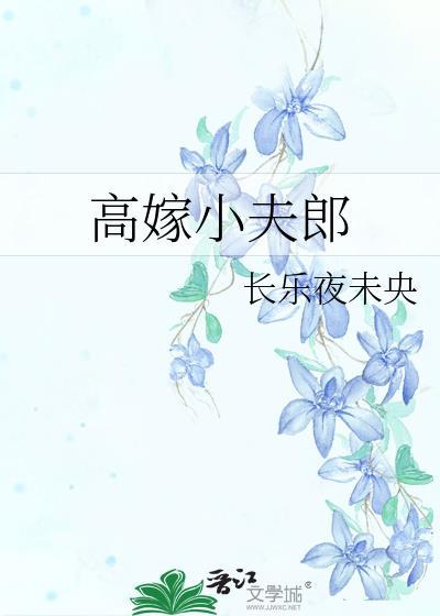 高嫁小夫郎by长乐夜未央