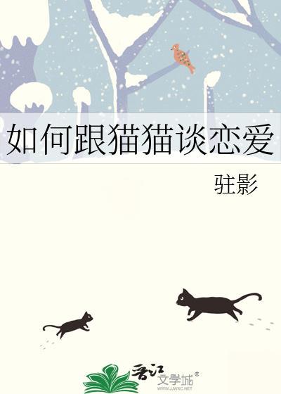 如何和猫咪交朋友