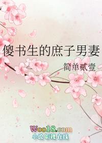 傻书生的庶子男妻宝书网