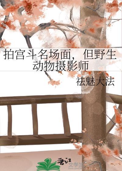 拍摄野生动物视频犯法吗