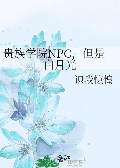 贵族学院npc