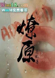 燎原两段豪车