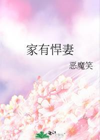 家有悍妻怎么破全文免费阅读