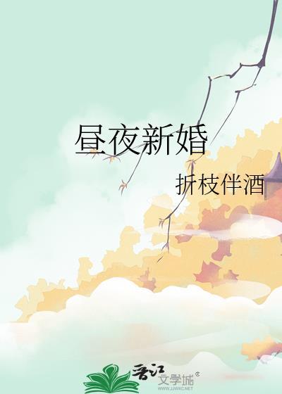 昼夜连绵新婚