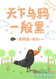 天下乌鸦一般黑指的是什么意思