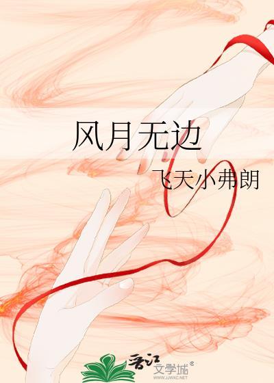 凤月无边林家成讲的什么