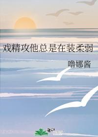 戏精攻他总是在装柔弱 在线阅读