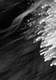 黑夜玛丽亚免费阅读