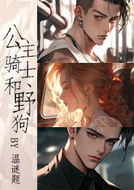 公主和骑士的文