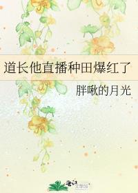 道长直播间