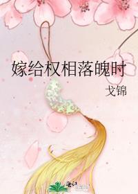 嫁给首辅冲喜