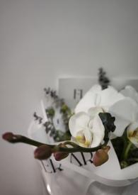 我的未婚妻不对劲