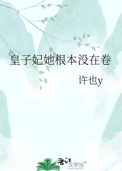 皇子妃txt