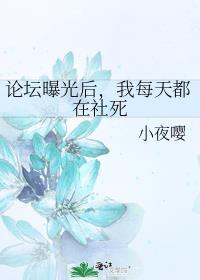 我每天都在社死 小夜嘤