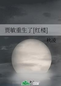 红楼梦贾敏重生文