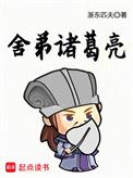 舍弟诸葛亮防盗这么厉害