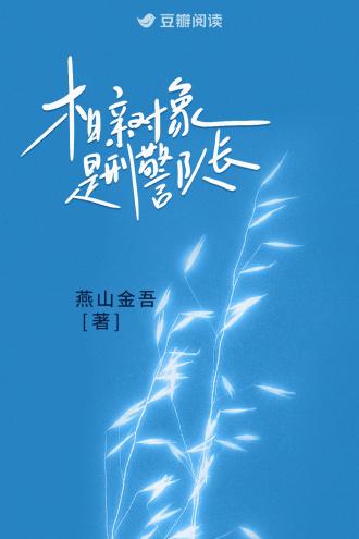 相亲对象是刑警队长番外