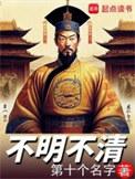 不明不清免费阅读