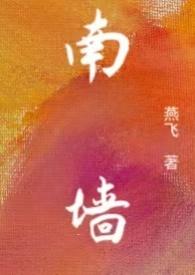 南墙与北墙by张大姑娘